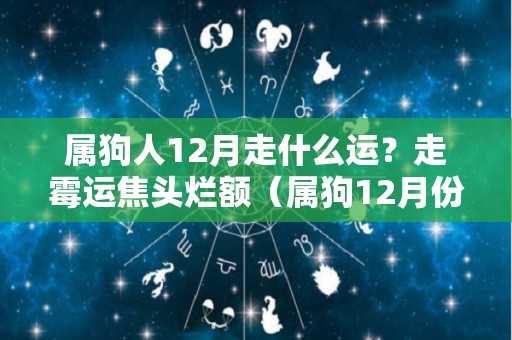 属狗人12月走什么运？走霉运焦头烂额（属狗12月份）