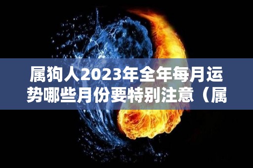 属狗人2023年全年每月运势哪些月份要特别注意（属狗人2023年全年每月运势哪些月份要特别注意呢）