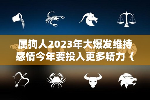 属狗人2023年大爆发维持感情今年要投入更多精力（属狗人2023年运势如何）