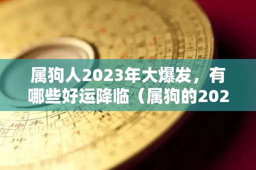 属狗人2023年大爆发，有哪些好运降临（属狗的2023年怎么样）