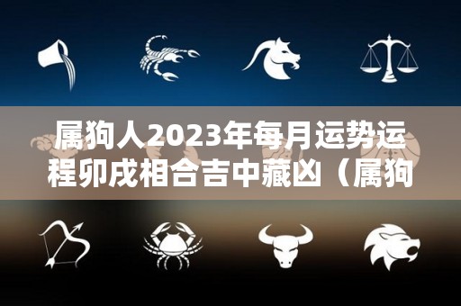 属狗人2023年每月运势运程卯戌相合吉中藏凶（属狗人在2023年的全年运势）