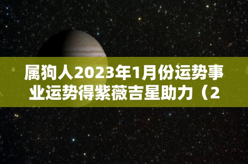 属狗人2023年1月份运势事业运势得紫薇吉星助力（2023属狗人全年12个月运势）