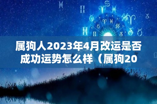 属狗人2023年4月改运是否成功运势怎么样（属狗2024年属狗每月运势和运）