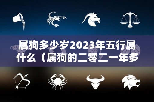 属狗多少岁2023年五行属什么（属狗的二零二一年多少岁）