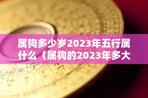 属狗多少岁2023年五行属什么（属狗的2023年多大）