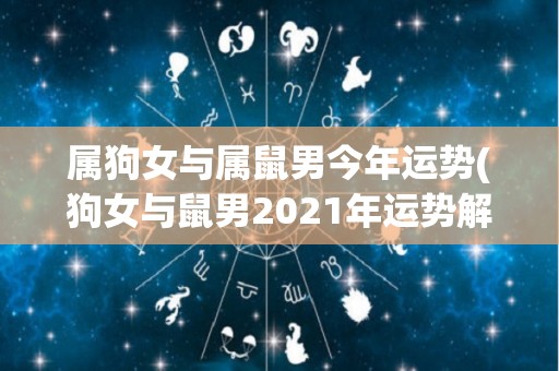 属狗女与属鼠男今年运势(狗女与鼠男2021年运势解析)