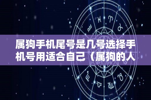 属狗手机尾号是几号选择手机号用适合自己（属狗的人手机尾号数字最好）