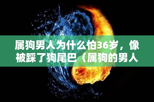 属狗男人为什么怕36岁，像被踩了狗尾巴（属狗的男人怕老婆吗）