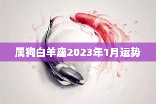 属狗白羊座2023年1月运势