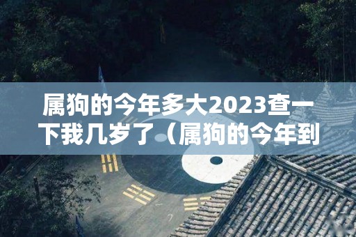 属狗的今年多大2023查一下我几岁了（属狗的今年到底多大）