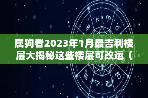 属狗者2023年1月最吉利楼层大揭秘这些楼层可改运（属狗2023年运势及运程每月）