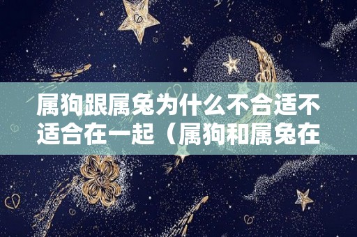 属狗跟属兔为什么不合适不适合在一起（属狗和属兔在一起真的很倒霉）