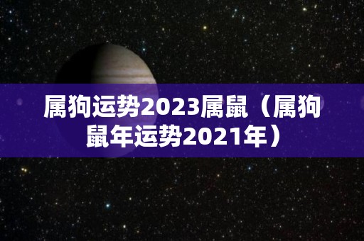 属狗运势2023属鼠（属狗鼠年运势2021年）