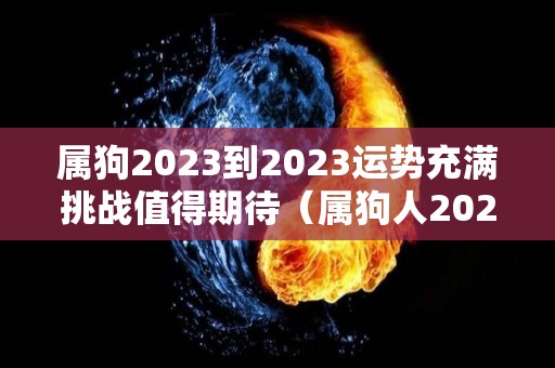 属狗2023到2023运势充满挑战值得期待（属狗人2023年运势运程每月运程卜易居）