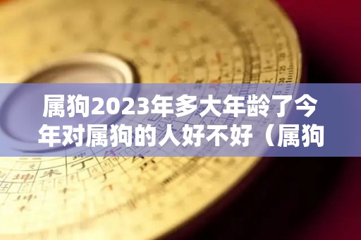 属狗2023年多大年龄了今年对属狗的人好不好（属狗的2023年运势和财运怎么样）