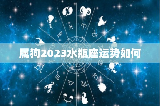 属狗2023水瓶座运势如何