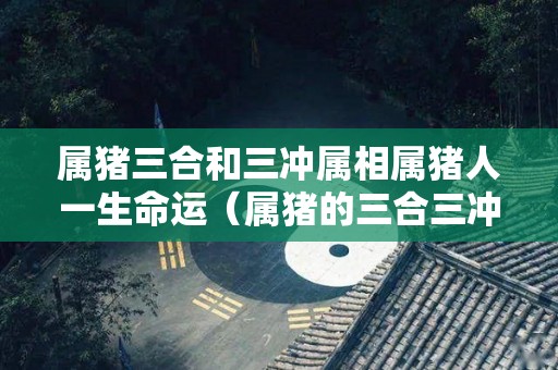 属猪三合和三冲属相属猪人一生命运（属猪的三合三冲）