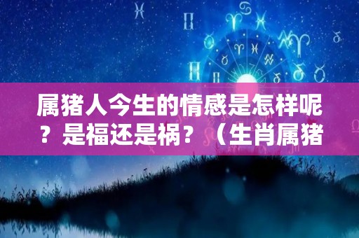 属猪人今生的情感是怎样呢？是福还是祸？（生肖属猪的人一生命运怎么样）