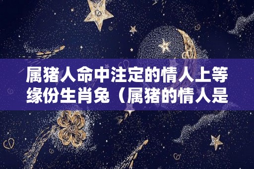 属猪人命中注定的情人上等缘份生肖兔（属猪的情人是什么）