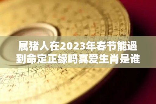 属猪人在2023年春节能遇到命定正缘吗真爱生肖是谁（属猪在2023年的运程是怎么样）