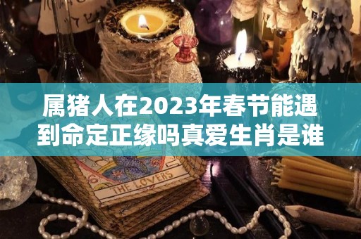 属猪人在2023年春节能遇到命定正缘吗真爱生肖是谁（属猪的人2023年适合生孩子吗）