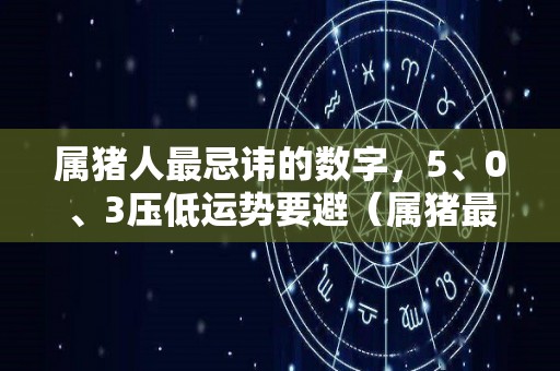 属猪人最忌讳的数字，5、0、3压低运势要避（属猪最忌讳的是什么）