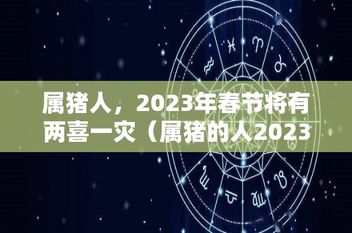 属猪人，2023年春节将有两喜一灾（属猪的人2023年适合生孩子吗）