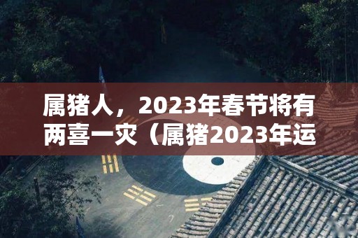 属猪人，2023年春节将有两喜一灾（属猪2023年运势及运程 2023年属猪人的全年每月运势）