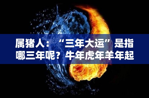 属猪人：“三年大运”是指哪三年呢？牛年虎年羊年起大运（生肖猪那年大运）