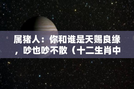 属猪人：你和谁是天赐良缘，吵也吵不散（十二生肖中,属猪的人和哪个生肖婚配能幸福美满?）