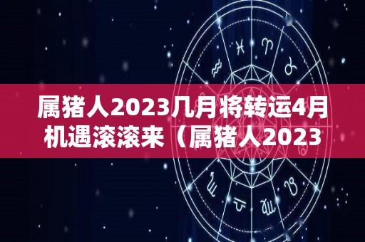 属猪人2023几月将转运4月机遇滚滚来（属猪人2023年每月运势运程）