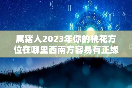 属猪人2023年你的桃花方位在哪里西南方容易有正缘（2021年属猪的桃花方位）