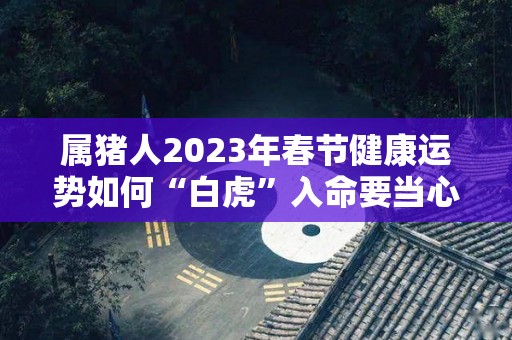 属猪人2023年春节健康运势如何“白虎”入命要当心（属猪的2023年运势和财运怎么样）