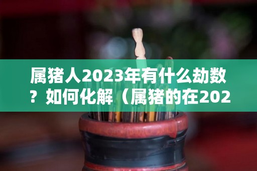 属猪人2023年有什么劫数？如何化解（属猪的在2023年的运势怎么样 全年）