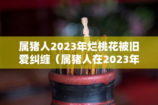 属猪人2023年烂桃花被旧爱纠缠（属猪人在2023年的运势）