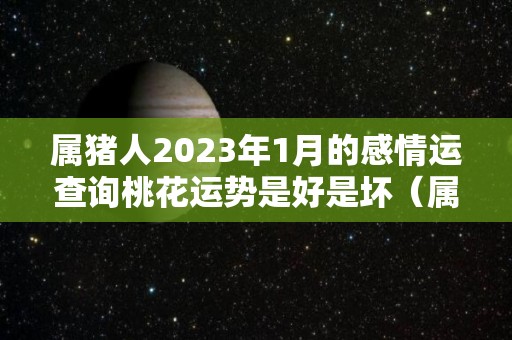 属猪人2023年1月的感情运查询桃花运势是好是坏（属猪在2023年运势怎么样）