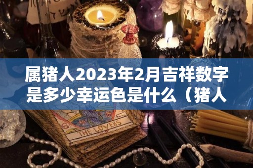 属猪人2023年2月吉祥数字是多少幸运色是什么（猪人2023年每月运势运程）