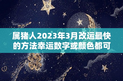 属猪人2023年3月改运最快的方法幸运数字或颜色都可以（属猪2023年运势如何）