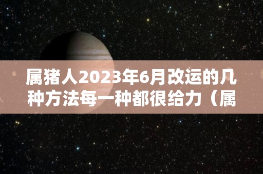 属猪人2023年6月改运的几种方法每一种都很给力（属猪2023年运势如何）