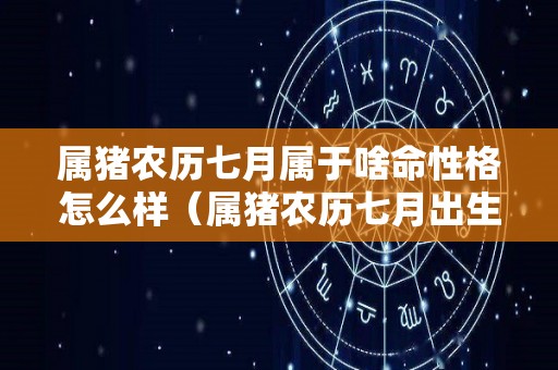 属猪农历七月属于啥命性格怎么样（属猪农历七月出生好不好）