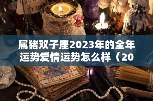 属猪双子座2023年的全年运势爱情运势怎么样（2021年属猪双子座）