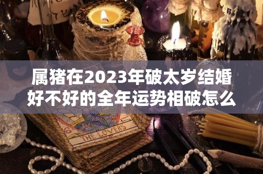 属猪在2023年破太岁结婚好不好的全年运势相破怎么化解（2022年属猪破太岁怎么化解）