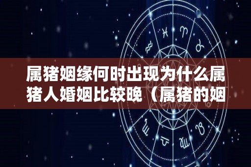 属猪姻缘何时出现为什么属猪人婚姻比较晚（属猪的姻缘容易在哪里遇到）