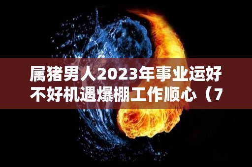 属猪男人2023年事业运好不好机遇爆棚工作顺心（71年属猪男2023年的每月运势）