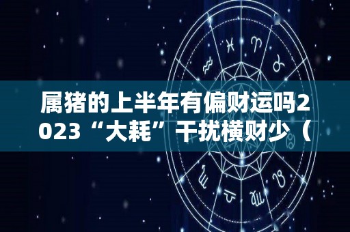 属猪的上半年有偏财运吗2023“大耗”干扰横财少（属猪2021年上半年可以跳槽吗）