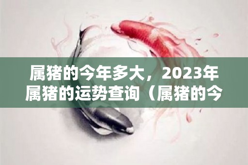 属猪的今年多大，2023年属猪的运势查询（属猪的今年多大2020年运势）