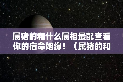 属猪的和什么属相最配查看你的宿命姻缘！（属猪的和什么属相最是最佳婚配）