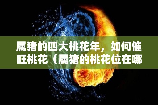 属猪的四大桃花年，如何催旺桃花（属猪的桃花位在哪个方向2021）