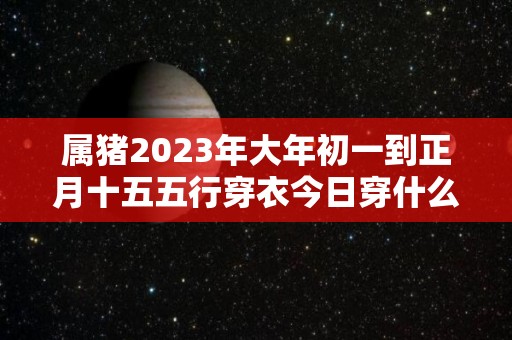 属猪2023年大年初一到正月十五五行穿衣今日穿什么颜色旺运（2020年属猪的要穿什么颜色）