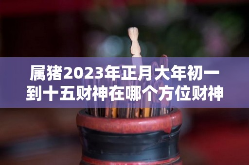 属猪2023年正月大年初一到十五财神在哪个方位财神最佳方位（属猪的2021年正月初几躲星）